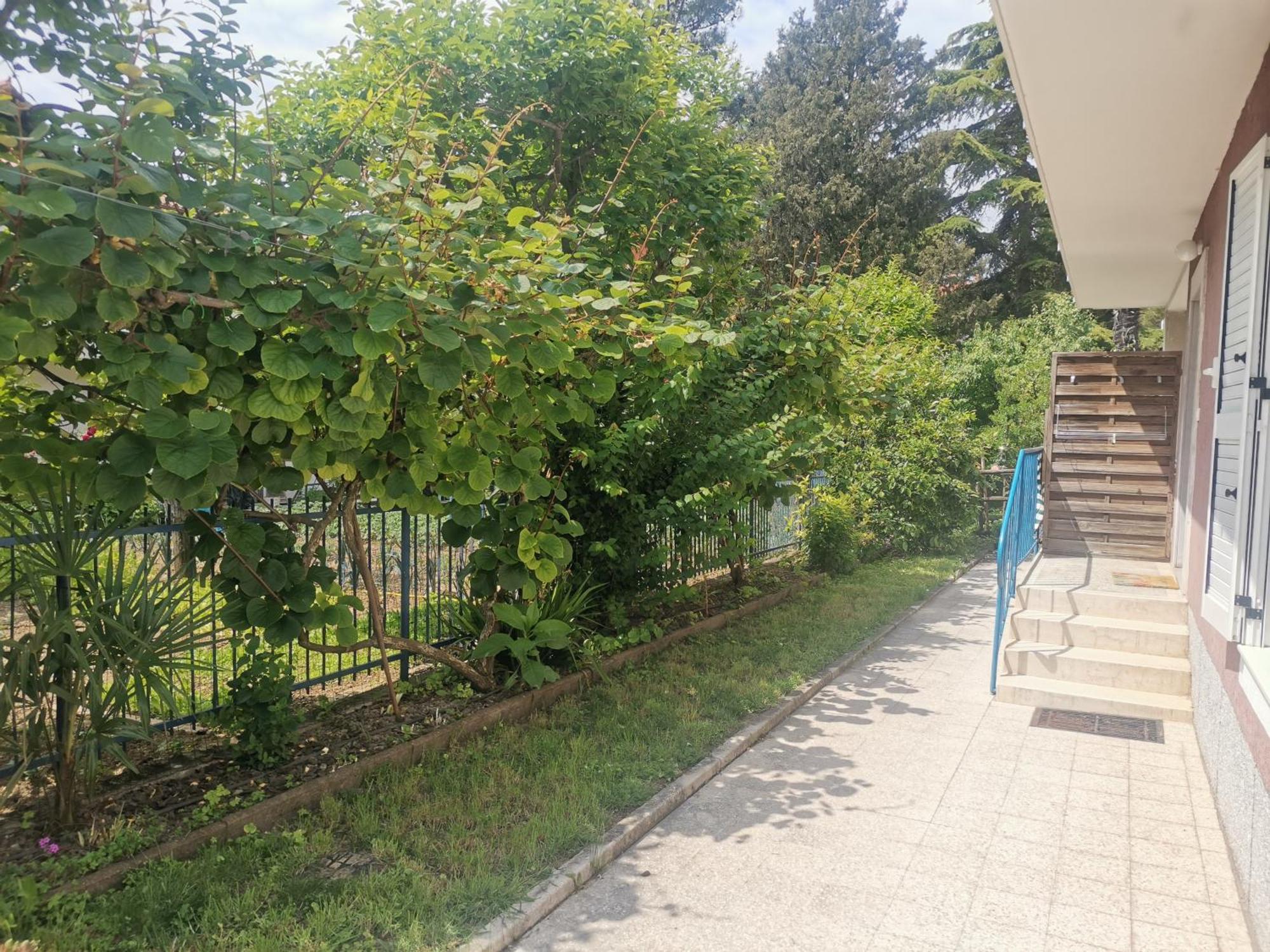 Pri Noni "Istracycle" Apartment Lucija Luaran gambar